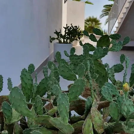 Zina, Terrazza Sul Mediterraneo. Holiday home *